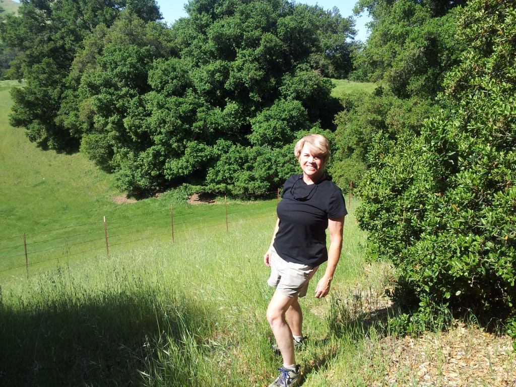 SugarloafMtnBrushyPeaks