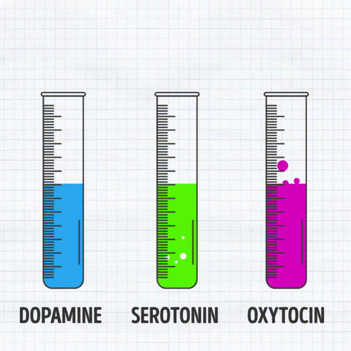 dopamineserotoninoxytocin
